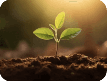 Validation of Environmental Product Declarations