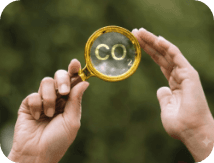 Carbon Footprint