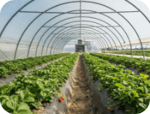 Greenhouse Gas Emission